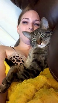 Cuddling Cat Puts Its Paws Up