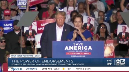 Do surrogates help a campaign? Their answer may depend on the campaign