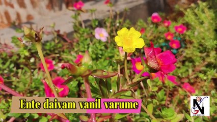 Ente Daivam Vanil Varume.. Old Malayalam Christian Song... എന്റെ ദൈവം വാനിൽ വരുമെ