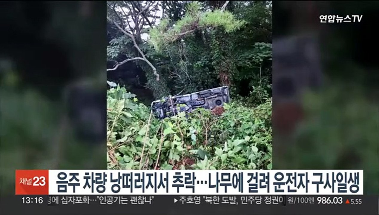 음주 차량 낭떠러지서 추락…나무에 걸려 운전자 구사일생
