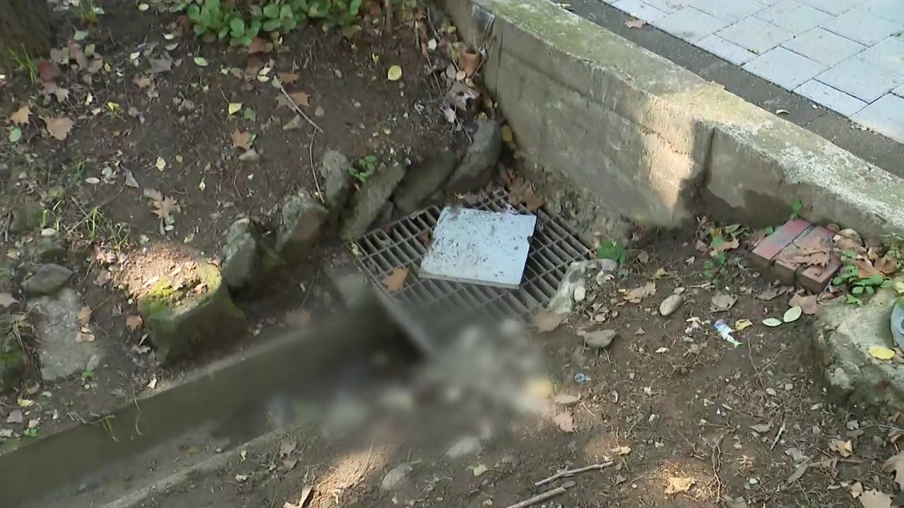 서울 도심에서 50대 권총 맞아...극단적 선택 추정 / YTN