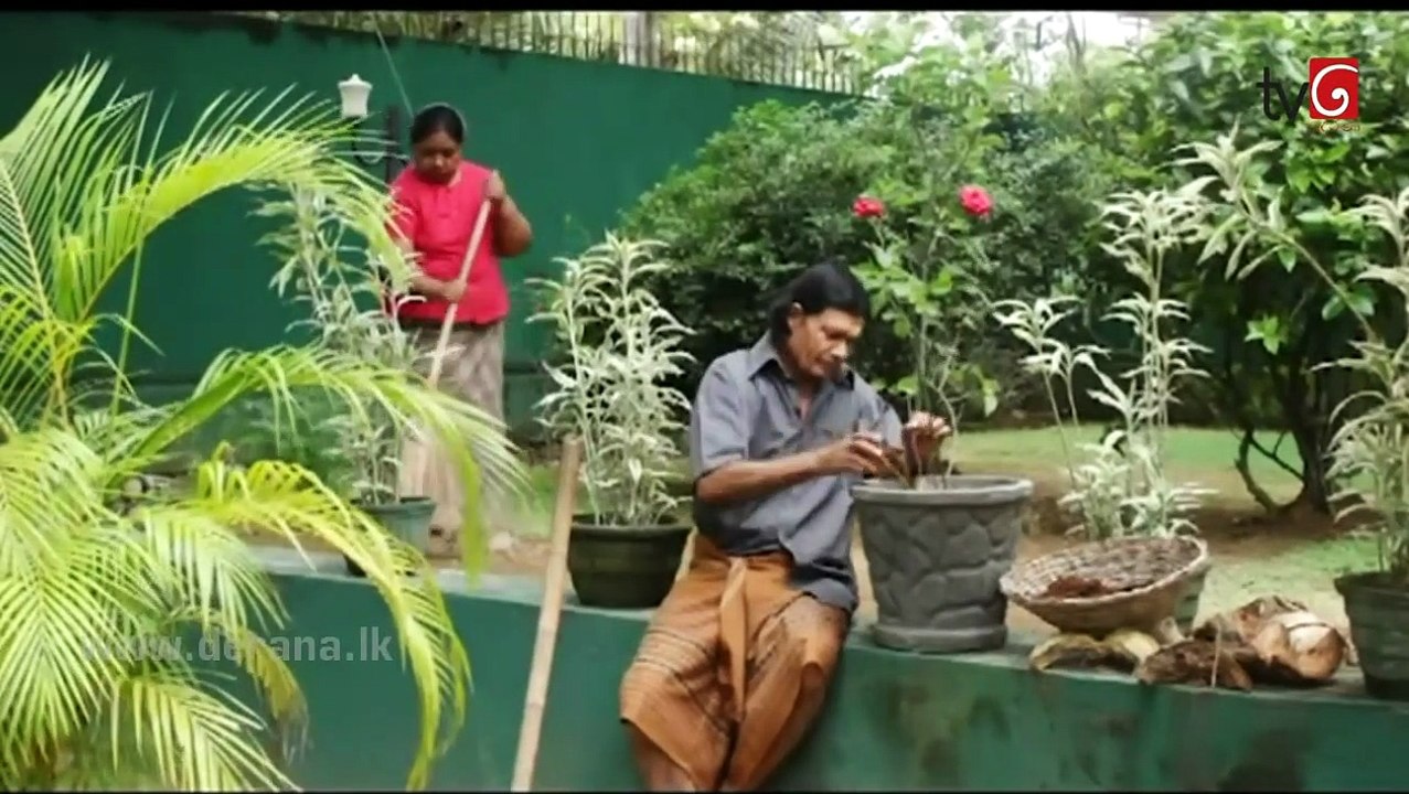 Neela Paligu Diya Episode 47
