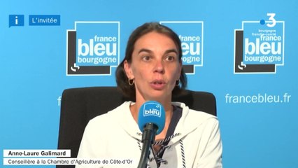 Maraîchage en Côte-d'Or : Anne-Laure Galimard, conseillère à la chambre d'agriculture