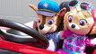 Paw Patrol's Skye and Chase's fun day at the Playground & No Bullying at School Baby Pups Videos