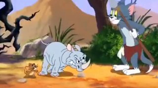 tom & jerry Bangla cartoon, tom & jerry new episode,