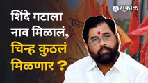 Shinde Group Symbol | नाव मिळालं, शिंदे गटाच्या चिन्हाचं काय? | Politics | Maharashtra | Sakal
