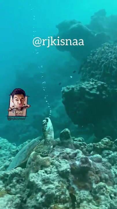 TURTAL DEV - YOGA SE HOGA - DUB KENDRA - KISNA #shorts #shortvideo #turtle #yoga #behenkonaman