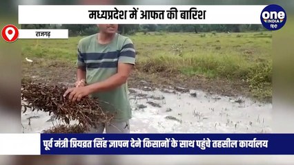 मध्यप्रदेश में आफत की बारिश, पूर्व मंत्री प्रियव्रत सिंह ज्ञापन देने किसानों के साथ पहुंचे तहसील कार्यालय