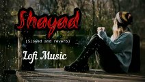 Shayad [Slowed Reverb] Full Song | Audio Song | Love Aaj Kal | Pritam & Jubin Nautiyal | Lofi #lofi