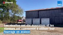 Les agriculteurs manquent de fourrage