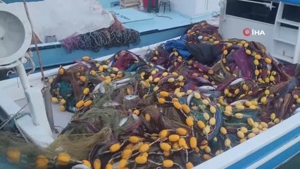 Karadeniz'e açılan balıkçı tekneleri kasalar dolusu palamutla limana dönüyor