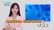 체중 감량에 도움을 주는 『 BNR17 유산균 』 TV CHOSUN 221011 방송