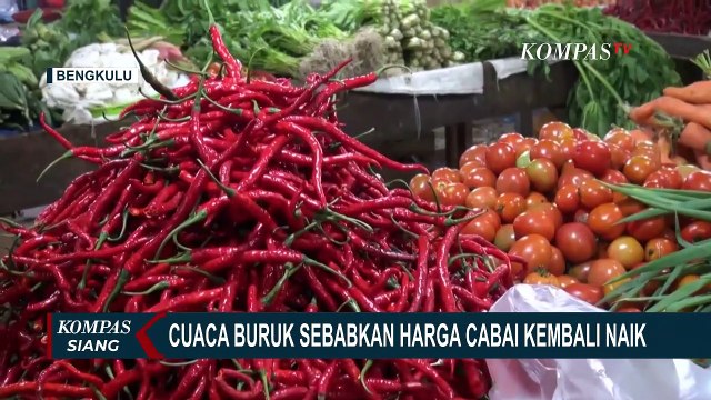 Cuaca Buruk Disebut jadi Penyebab Harga Cabai di Bengkulu Kembali Naik
