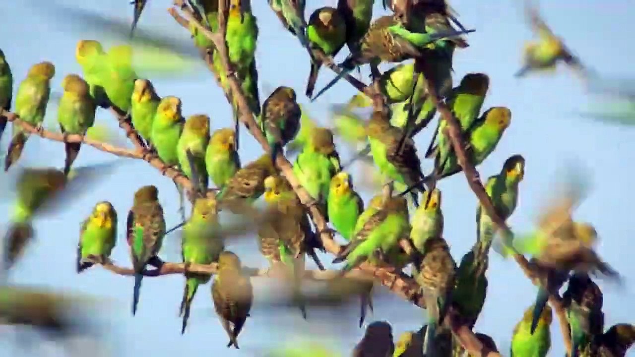 Wild Monsoon - Se1 - Ep03 - The Dry - SeHD Watch HD Deutsch