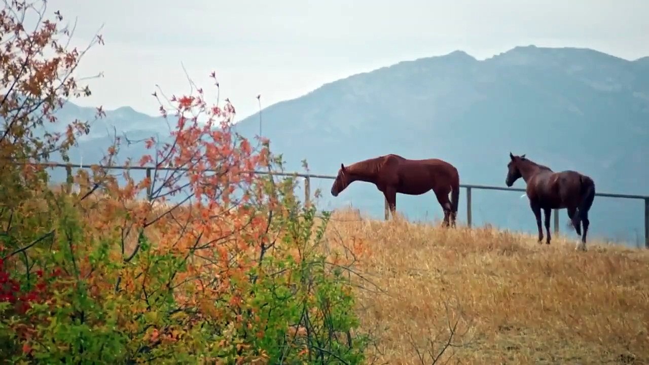 Mountain Mamas - Se1 - Ep02 - Home With Room to Roam HD Watch HD Deutsch