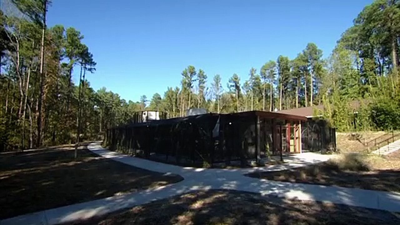 Natures Miracle Babies - Se1 - Ep03 HD Watch HD Deutsch