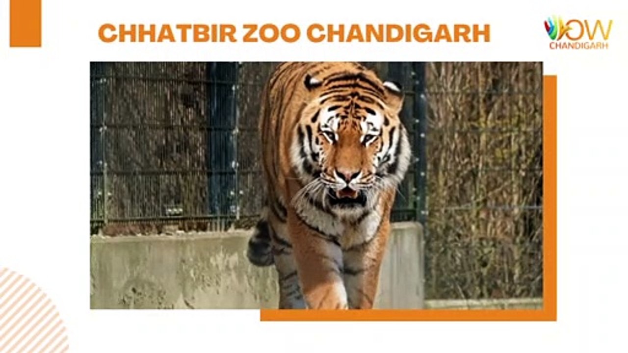Best Zoo To Visit In Northen India