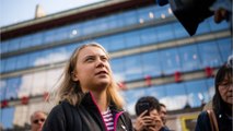 Greta Thunberg ist zurück: Und sie hat einen neuen Job (1)