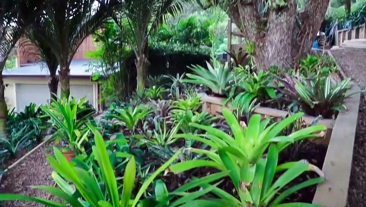 Off The Grid On The Beach - Se1 - Ep10 - Busy Life To Pacific Paradise HD Watch HD Deutsch