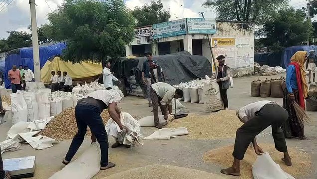 मौसम साफ होते ही मण्डी में लौटी रौनक