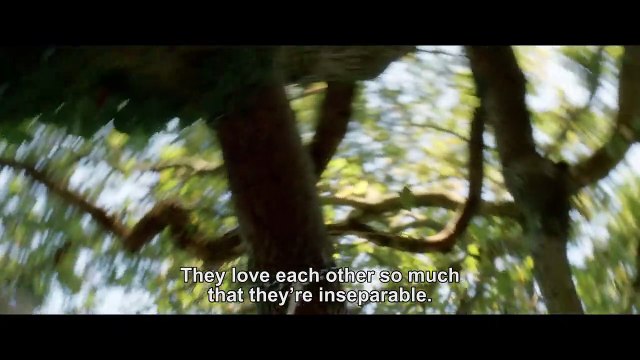 Marguerite et Julien Bande-annonce (EN)