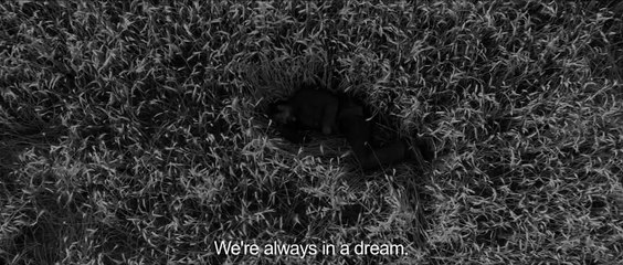 La Particule humaine Bande-annonce (EN)