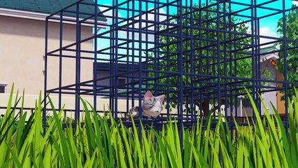 Koneko no Chii - Ponponraa Dairyokou - Ep08 HD Watch HD Deutsch