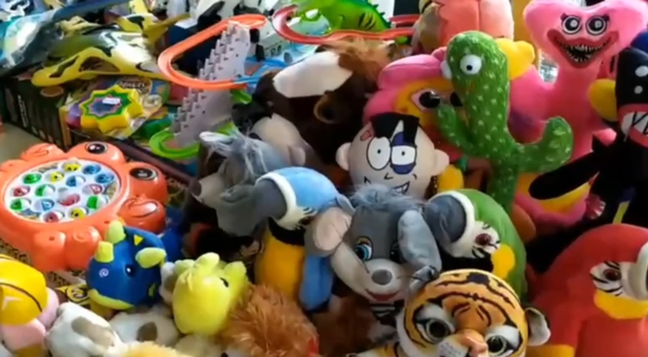 Rimini - Abusivismo commerciale, truffe, contraffazione, caporalato: controlli della GdF (11.10.22)