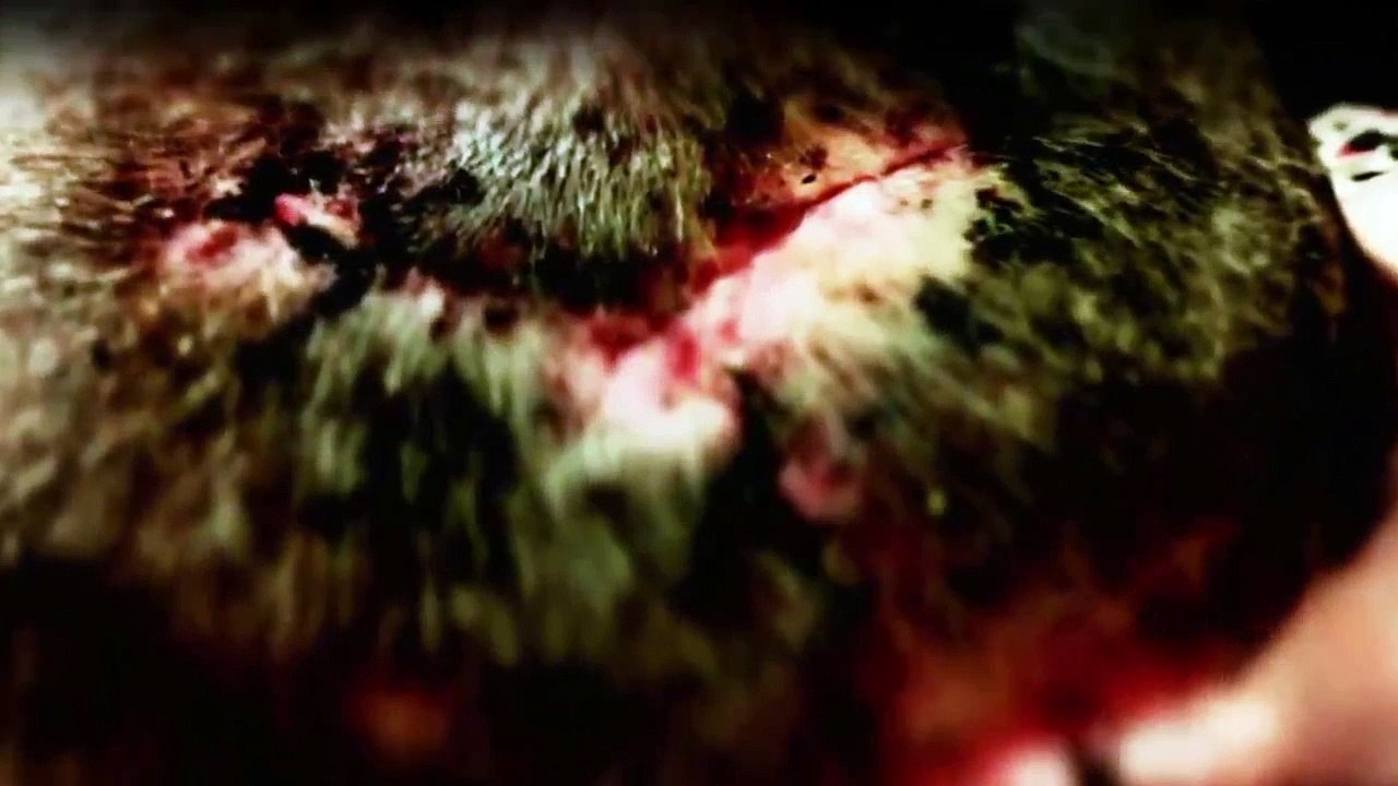 I Dated A Psycho Staffel 1 Folge 2 HD Deutsch