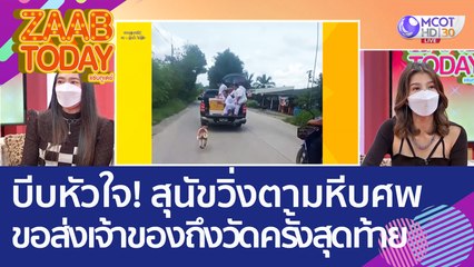 บีบหัวใจ! สุนัขวิ่งตามหีบศพ ขอส่งเจ้าของถึงวัดเป็นครั้งสุดท้าย (11 ต.ค. 65) แซ่บทูเดย์