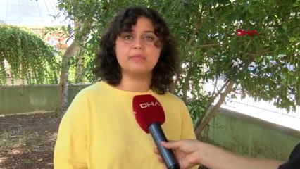 Birbirlerini 'cinsel saldırı' ve 'iftira' ile suçlayan sevgililerden karşılıklı tazminat davası