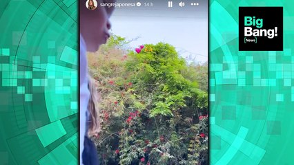 "¡Ay, me muero!": Magnolia y Amancio cantando el tema que Rusherking le dedicó a la "China"