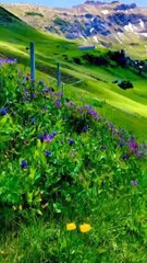 feel the music  nature status video with song #natureshort #short #status