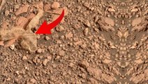 Mars'ta insan çöpü bulundu! Sosyal medyadaki yorumlar kırıp geçiriyor