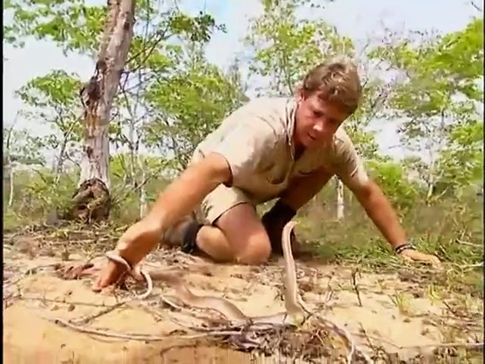 Crocodile Hunter - Ep08 HD Watch HD Deutsch