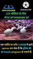 sperm motility | foods to increase sperm count | low sperm count| sperm count in hindi
