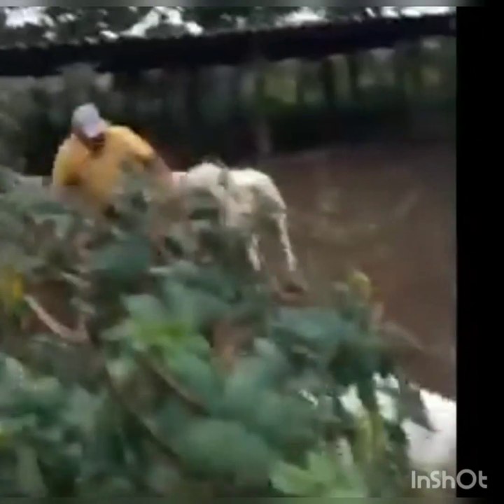 Funny Videos