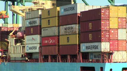 Belgium to step up fight against organised crime, as analyst warns war on drugs is lost