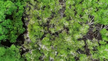 Ed Stafford - Das Survival Duell Staffel 1 Folge 5 HD Deutsch