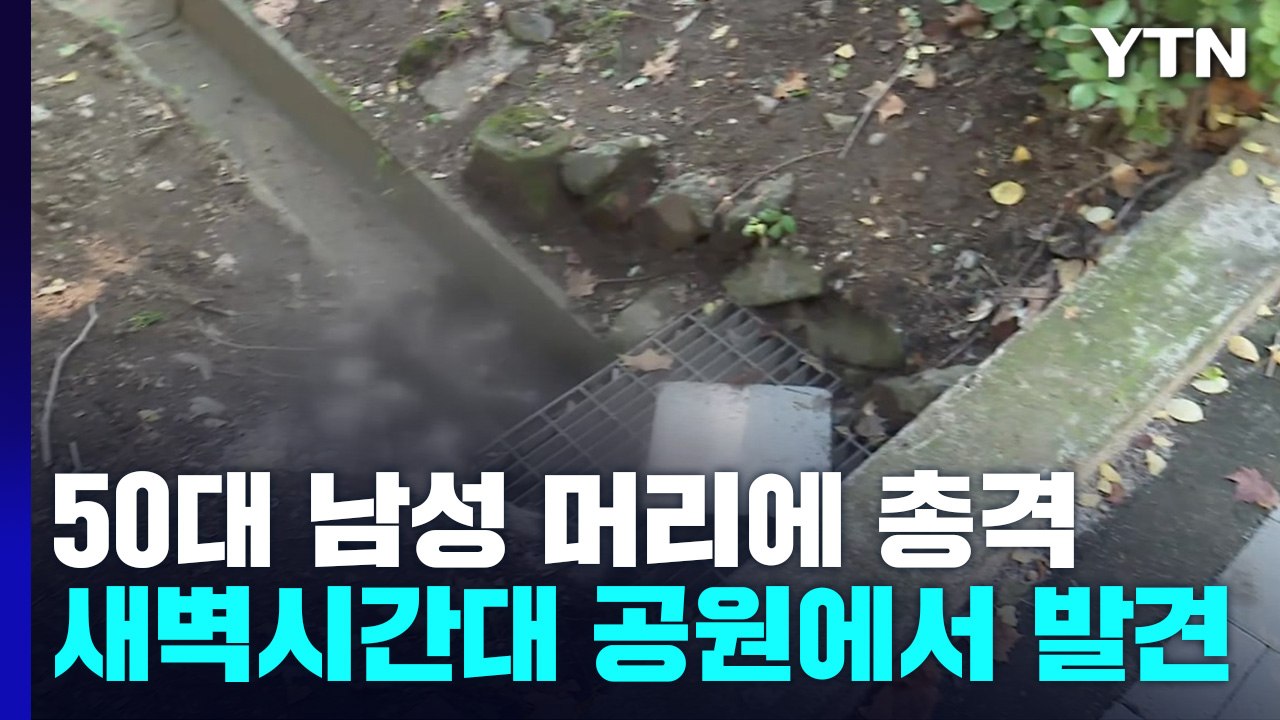 서울 도심에서 '극단적 선택' 추정 권총 사고..."소지 경위 파악 중" / YTN