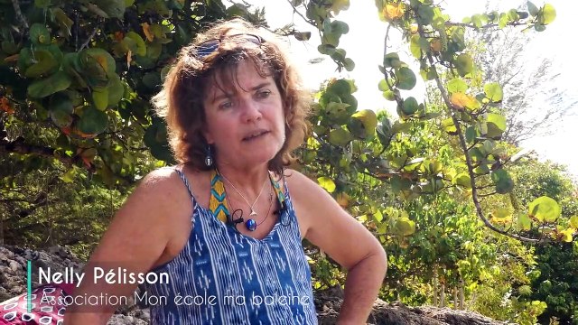 Dans le sillage des baleines Bande-annonce VF