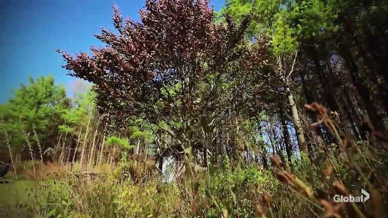 Crime Beat - Se1 - Ep04 - Alison Parrott -Leader of the Pack HD Watch HD Deutsch