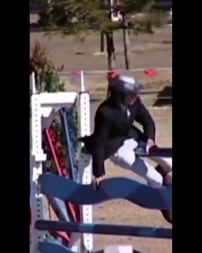 Funny Animal Videos 2022 | Funniest animals moves | Best funny animal clips 2022 | Funniest