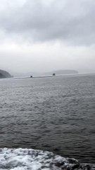 Giant Pod of Pacific White-Sided Dolphins Play Around Boat