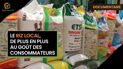 Burkina Faso : Le riz local, de plus en plus au goût des consommateurs