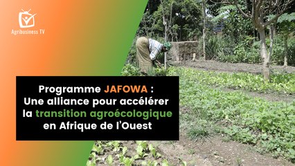 Programme JAFOWA : Une alliance pour accélérer la transition agroécologique en Afrique de l’Ouest