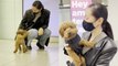 Adorable pup gives owner the most priceless 'welcome home' hug of all time