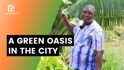 Burkina Faso: A green oasis in the city