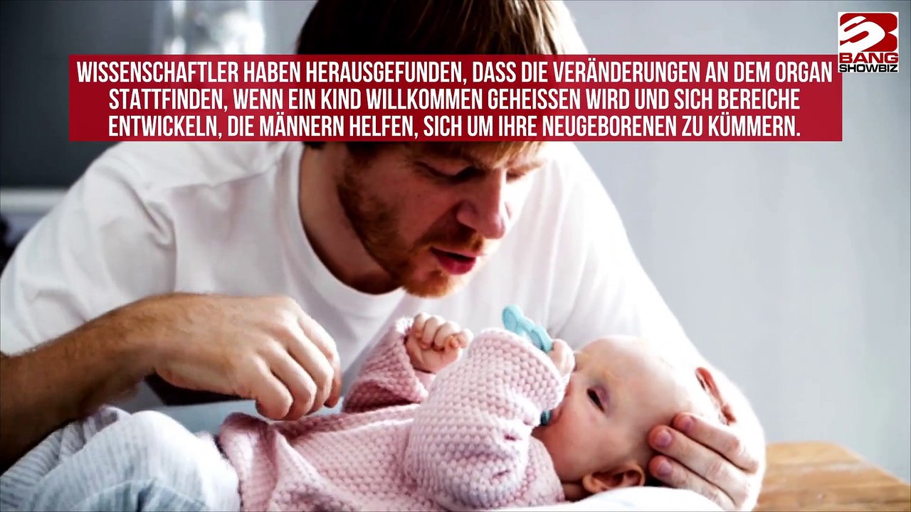 Gehirne von frischgebackenen Vätern verändern sich leicht