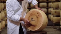Parmigiano Reggiano, vendite in crescita nei primi 9 mesi del 2022